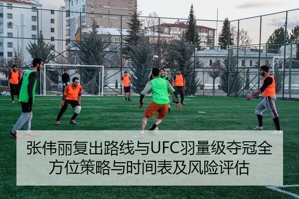 张伟丽复出路线与UFC羽量级夺冠全方位策略与时间表及风险评估